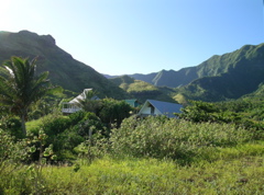 vallee