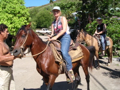 mfcheval