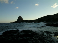 finpeche