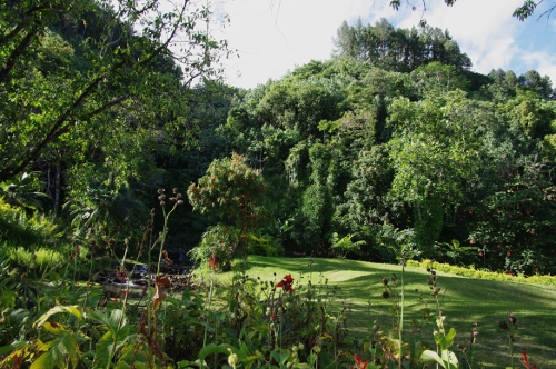 jardin vai-pahi