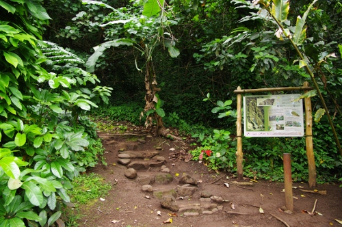 circuit pédestre jardin Vai pahi