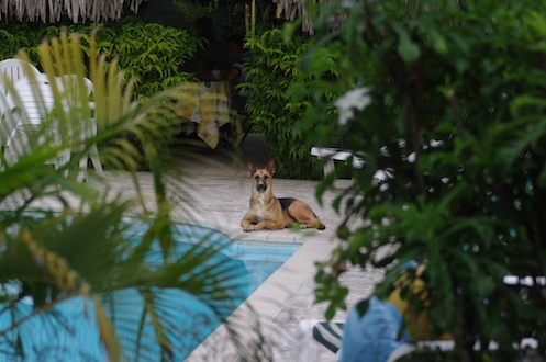 Chana, oct 2009 Chana