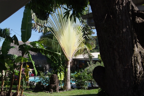 Pension de la plage