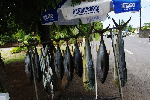 pêche du jour