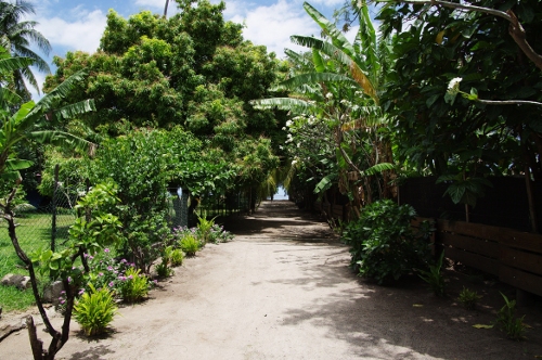 chemin plage