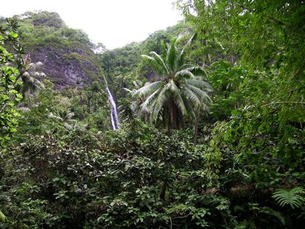tahiti___-_081.jpg