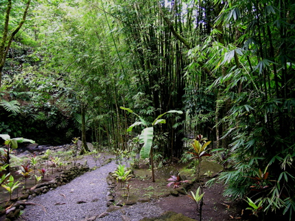 tahiti