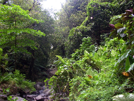 tahiti___-_084.jpg