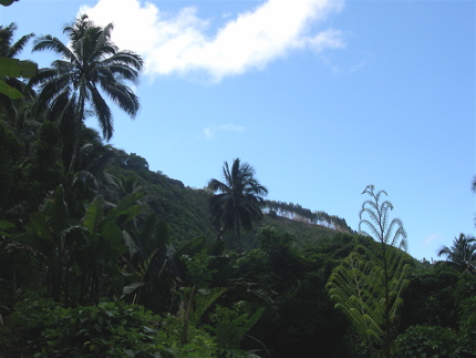 tahiti___-_108.jpg