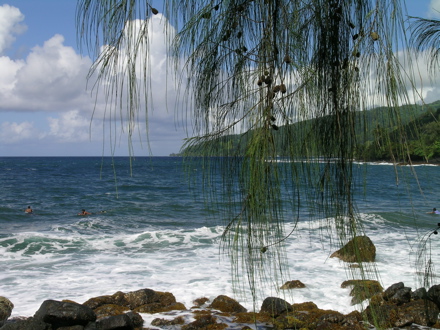 surfeurs en attente ... surfeurs en attente ...