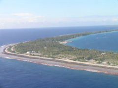 vue