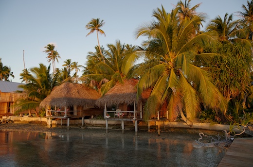 bungalows pension Tetamanu bungalows pension Tetamanu