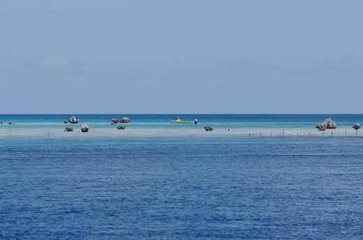 lagon marée basse, pêcheurs .. lagon marée basse, pêcheurs ..