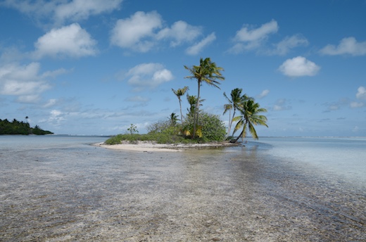 îlot au sable rose îlot au sable rose