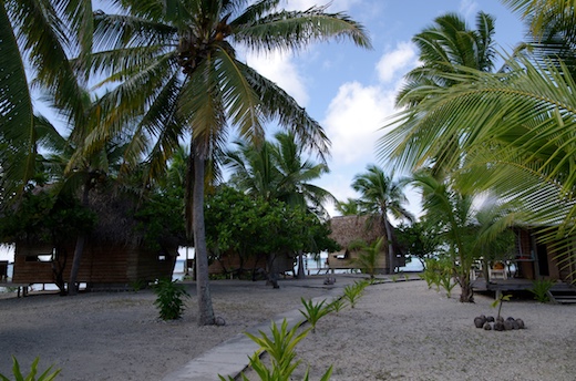 pensionTetamanu Sauvage sur motu pensionTetamanu Sauvage sur motu