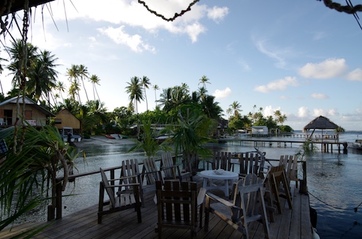 _IGP3403.jpg _IGP3403.jpg