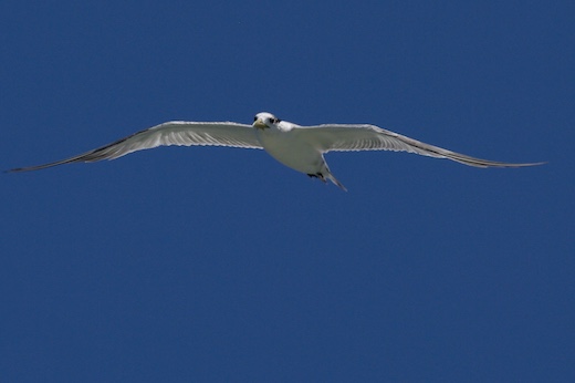 _IGP8887.jpg _IGP8887.jpg