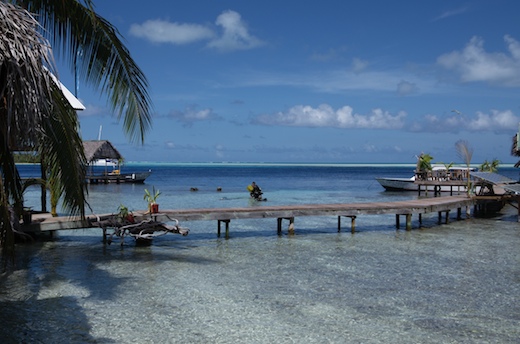 Tetamanu plongée passe sud Fakarava Tetamanu plongée passe sud Fakarava