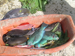 peche