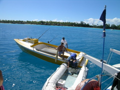 mahimahi