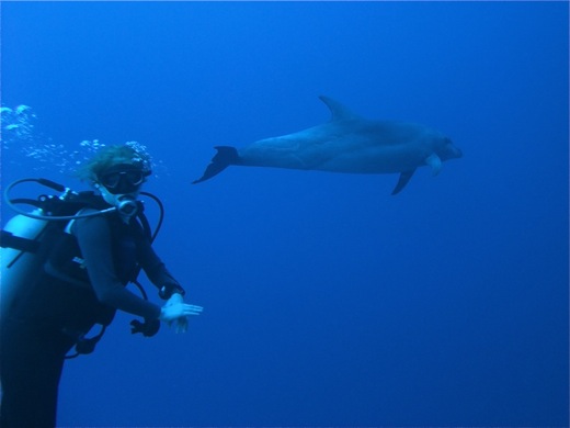 rencontre rangiroa