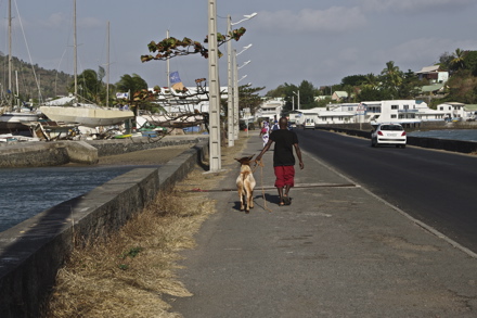 boulevard des Crabes boulevard des Crabes