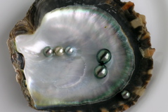 perles