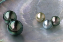 perles perles