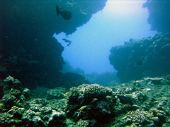 4.jpg, aoû 2008 4.jpg