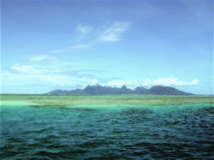 moorea