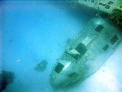 fuselage