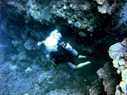 plongée la Grotte