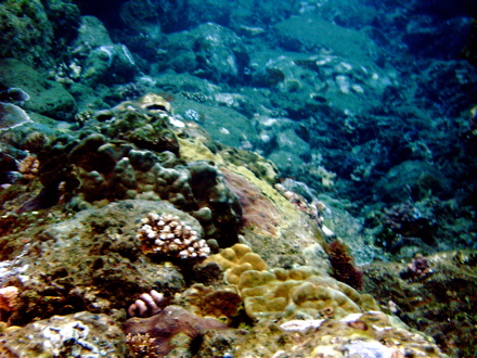 plongée la Grotte