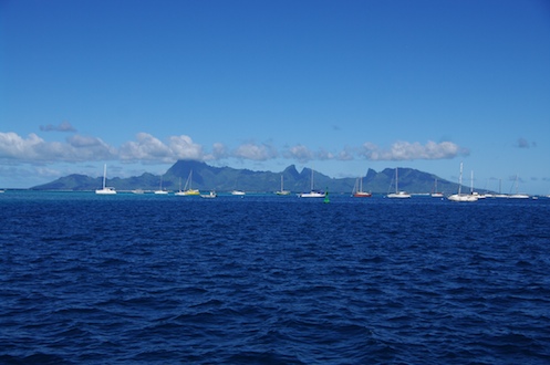 l'île de Moorea en face de la marina, dec 2009 l'île de Moorea en face de la marina