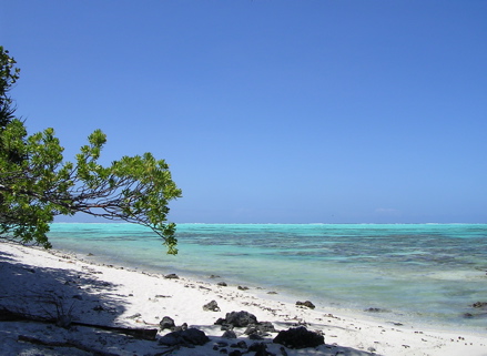 motu à Tetiaroa motu à Tetiaroa