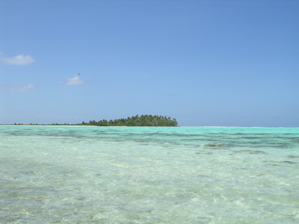 motu aux oiseaux Tetiaroa motu aux oiseaux Tetiaroa