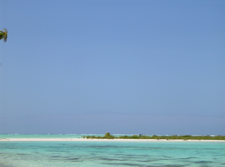 motu aux oiseaux Tetiaroa motu aux oiseaux Tetiaroa
