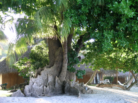 hôtel Relais Mahana
