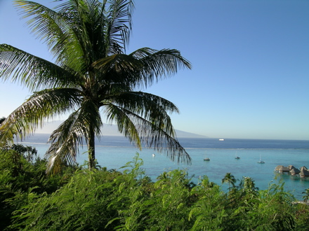 Moorea